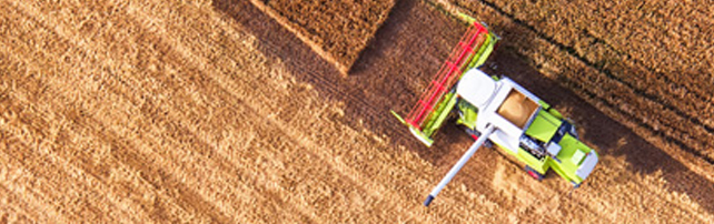 Food and Agriculture