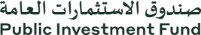 Public Investment Fund