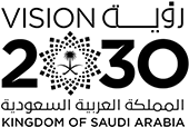 Vision 2030