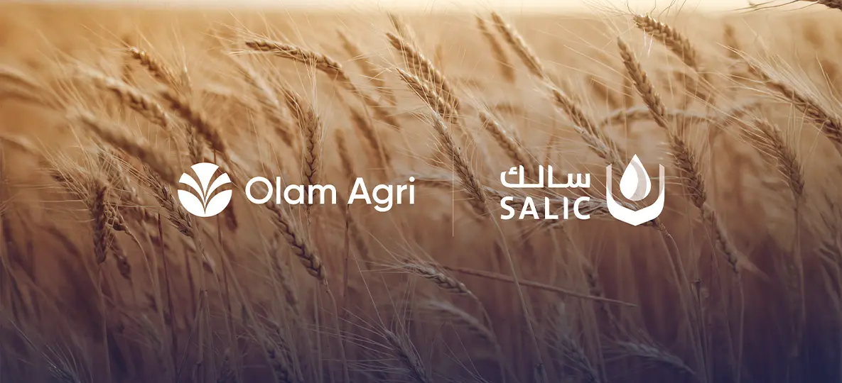 "سالك" ترفع حصتها إلى 80 % في "أولام الزراعية".. وتضع المملكة في قلب خريطة الغذاء العالمية