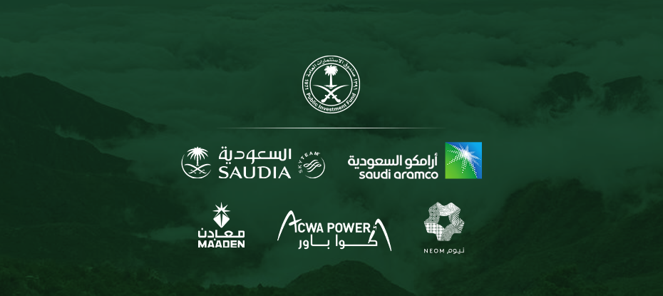 PIF announces first partners 