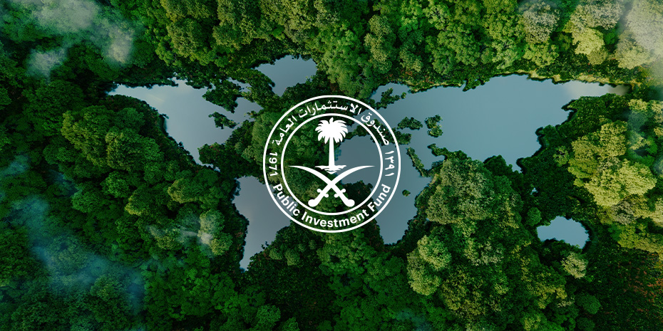 Regional Voluntary Carbon Market