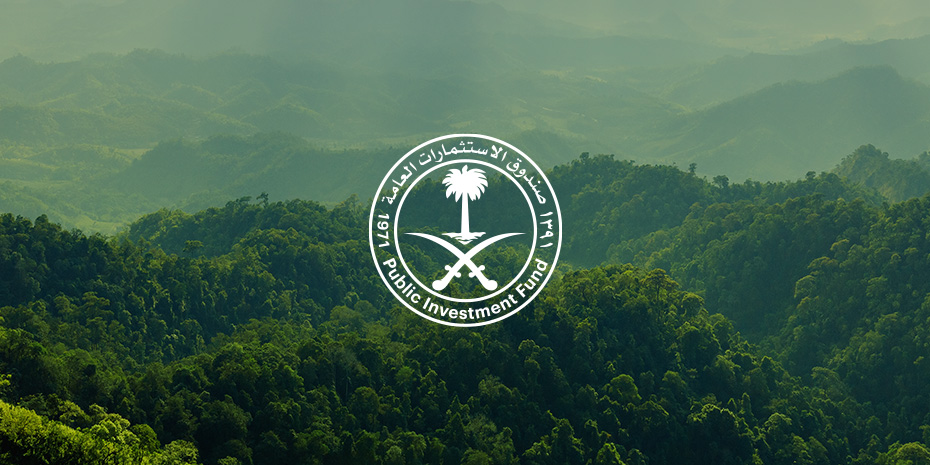  Voluntary Carbon Market Initiative