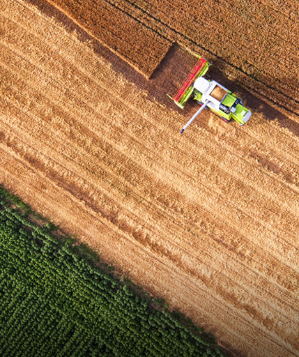 فرص استثمارية واسعة في قطاع الزراعة والأغذية