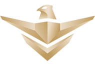 National Security Service Company (SAFE)